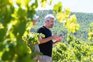 Enoturismo en la Comunidad Valenciana